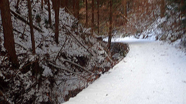 p1264483_thumb.jpg