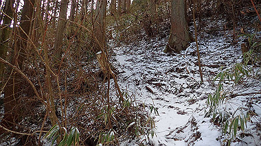 p1264485_thumb.jpg