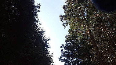 p1264486_thumb.jpg
