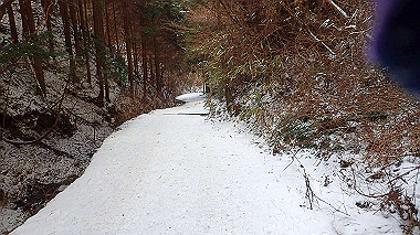 p1264487_thumb.jpg