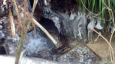 p1264490_thumb.jpg