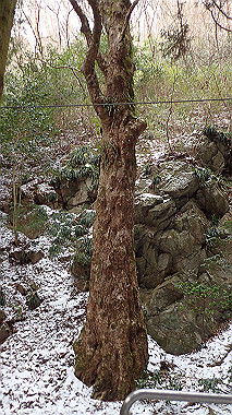 p1264501_thumb.jpg