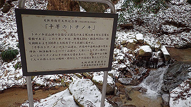 p1264502_thumb.jpg