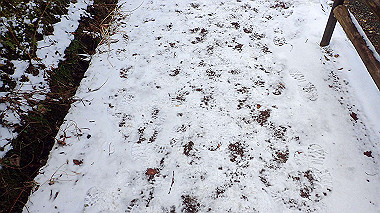 p1264508_thumb.jpg