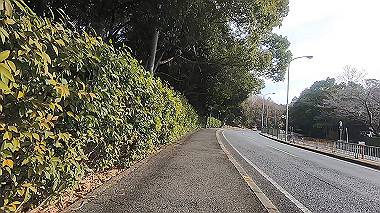 gx017530.mp4_snapshot_00.00_thumb.jpg