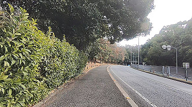 gx017530.mp4_snapshot_00.17_thumb.jpg