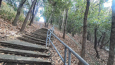 gx017531.mp4_snapshot_00.20_thumb.jpg