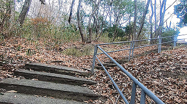 gx017531.mp4_snapshot_00.45_thumb.jpg