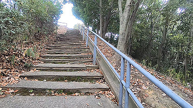 gx017531.mp4_snapshot_01.08_thumb.jpg