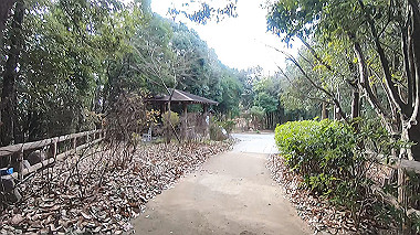 gx017532.mp4_snapshot_00.01_thumb.jpg
