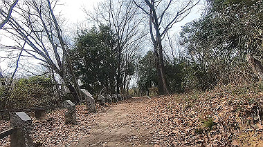 gx017532.mp4_snapshot_00.18_thumb.jpg