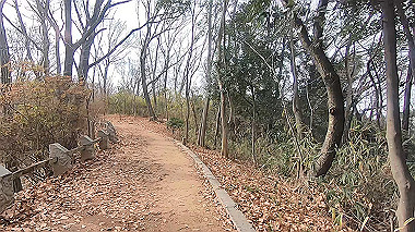 gx017532.mp4_snapshot_00.32_thumb.jpg