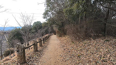 gx017533.mp4_snapshot_00.16_thumb.jpg