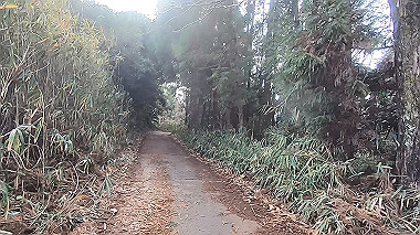 gx017534.mp4_snapshot_00.46_thumb.jpg