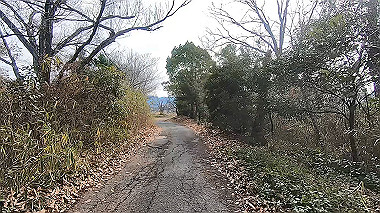 gx017534.mp4_snapshot_01.16_thumb.jpg