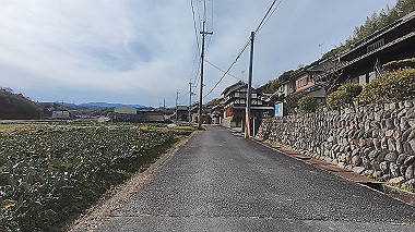 gx017536.mp4_snapshot_00.01_thumb.jpg