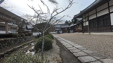 gx017538.mp4_snapshot_00.02_thumb.jpg