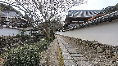 gx017538.mp4_snapshot_00.40_thumb.jpg