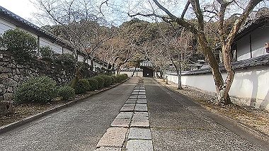 gx017538.mp4_snapshot_01.52_thumb.jpg