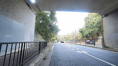 gx017553.mp4_snapshot_00.19_thumb.jpg