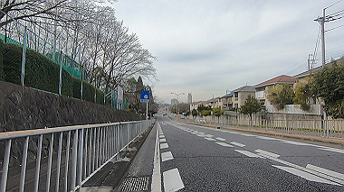 gx017553.mp4_snapshot_00.44_thumb.jpg