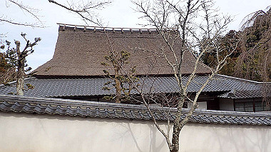 p2014513_thumb.jpg