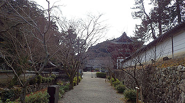 p2014514_thumb.jpg