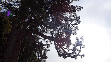p2014519_thumb.jpg