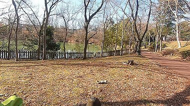 gx017554.mp4_snapshot_01.36_thumb.jpg
