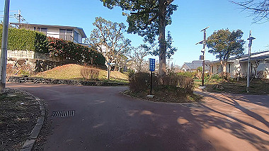 gx017555.mp4_snapshot_00.00_thumb.jpg