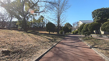 gx017555.mp4_snapshot_00.17_thumb.jpg