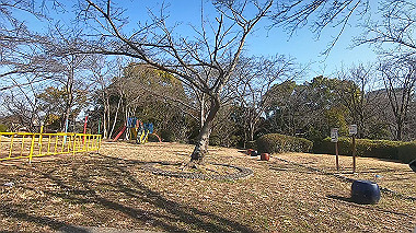 gx017555.mp4_snapshot_00.34_thumb.jpg