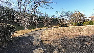 gx017555.mp4_snapshot_00.58_thumb.jpg