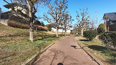 gx017556.mp4_snapshot_00.10_thumb.jpg