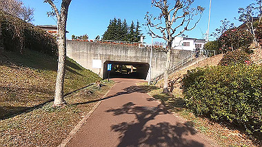 gx017557.mp4_snapshot_00.10_thumb.jpg