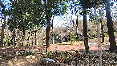 gx017559.mp4_snapshot_00.06_thumb.jpg