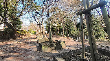 gx017559.mp4_snapshot_00.12_thumb.jpg