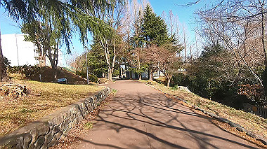 gx017559.mp4_snapshot_00.29_thumb.jpg