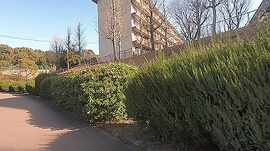 gx017559.mp4_snapshot_01.16_thumb.jpg