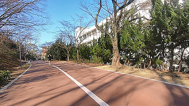 gx017559.mp4_snapshot_03.27_thumb.jpg