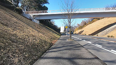 gx017562.mp4_snapshot_00.27_thumb.jpg
