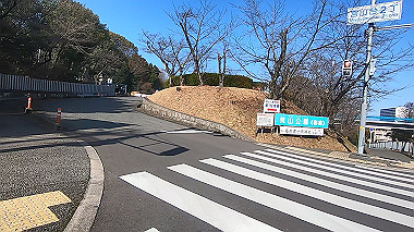 gx017563.mp4_snapshot_00.10_thumb.jpg