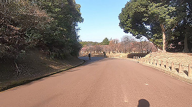 gx017564.mp4_snapshot_00.00_thumb.jpg