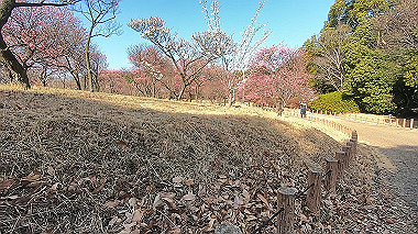 gx017564.mp4_snapshot_00.26_thumb.jpg