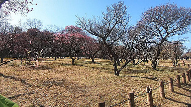 gx017565.mp4_snapshot_00.18_thumb.jpg