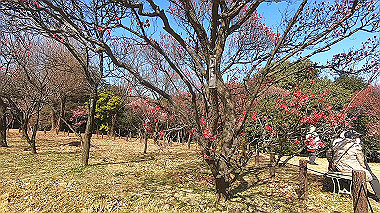gx017565.mp4_snapshot_00.30_thumb.jpg