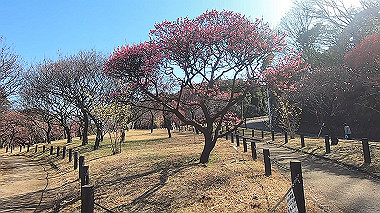 gx017566.mp4_snapshot_00.00_thumb.jpg