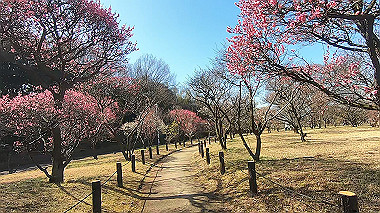 gx017566.mp4_snapshot_00.32_thumb.jpg