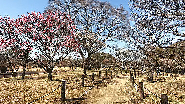 gx017566.mp4_snapshot_01.06_thumb.jpg