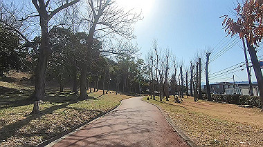 gx017568.mp4_snapshot_00.23_thumb.jpg